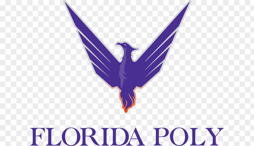 Phoenix Florida Polytechnic University Of Central Students' Union PNG