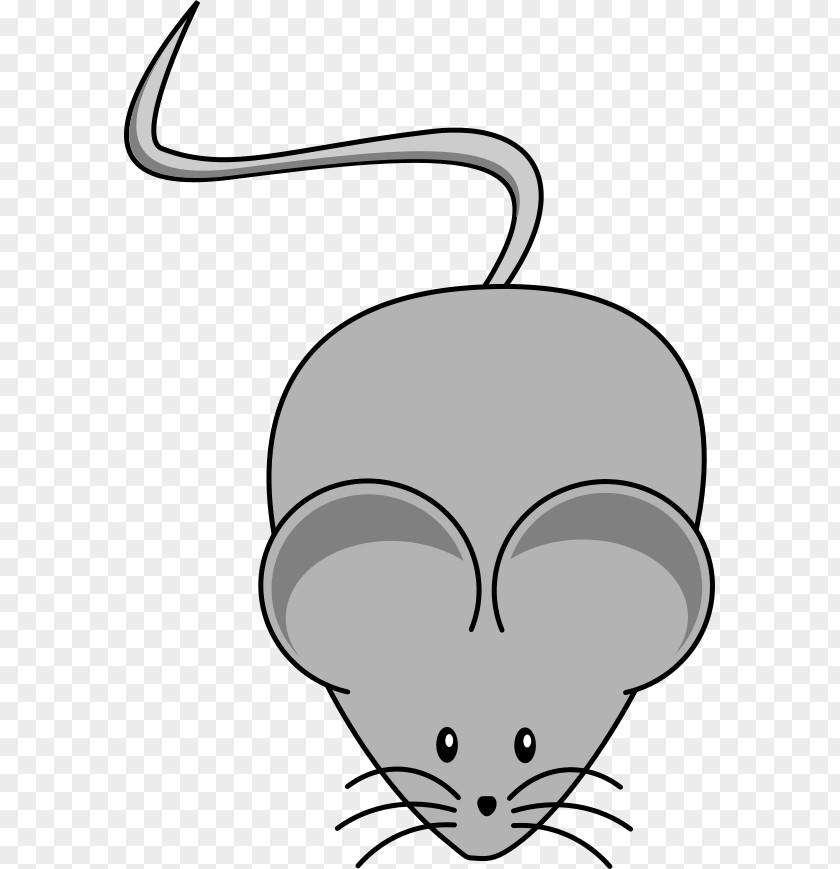 Rat Mouse Whiskers Cat Clip Art PNG