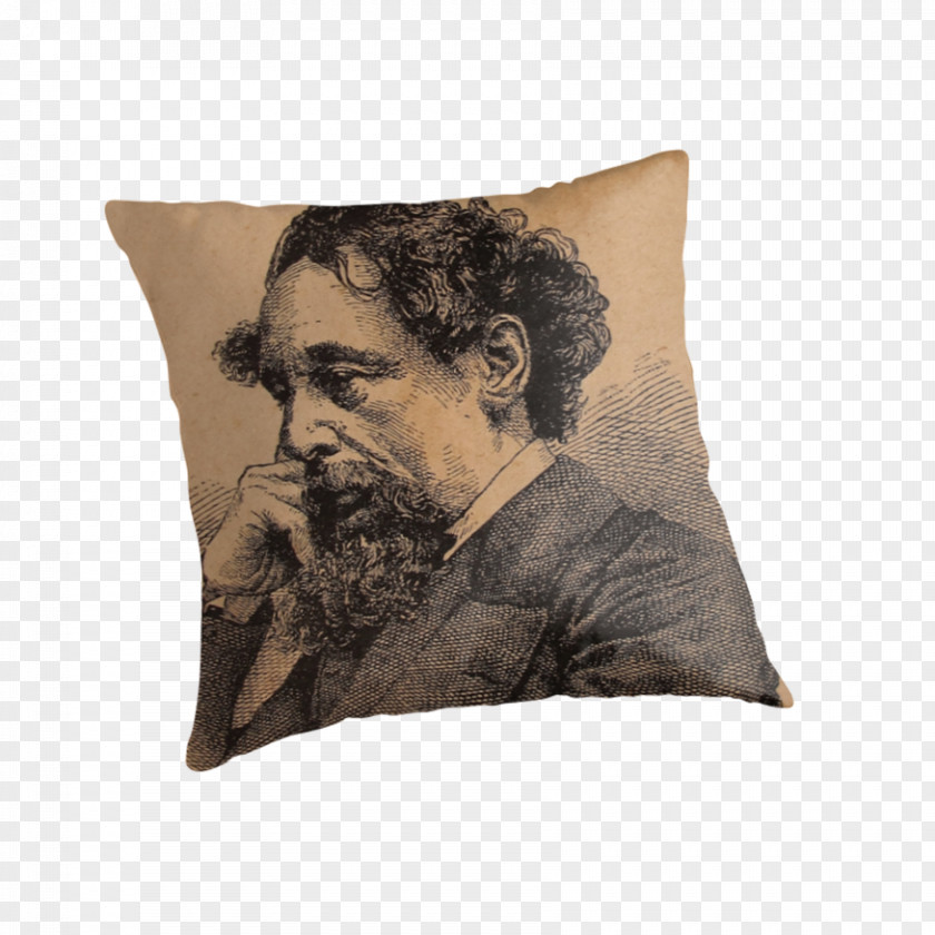 Throw Rubbish Pillows Cushion Facial Hair PNG