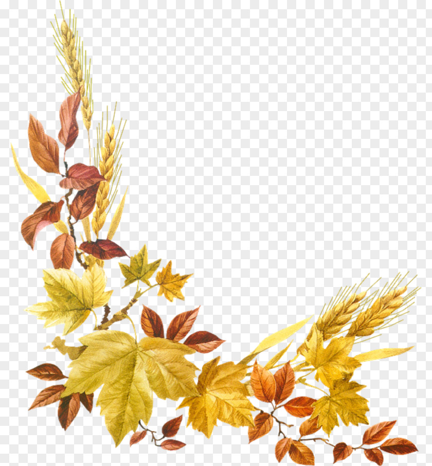 Tube Autumn Hattiesburg Desktop Wallpaper Clip Art PNG