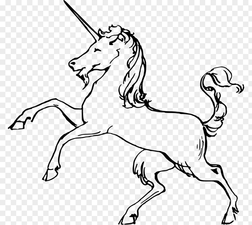 Unicorn Drawings Legendary Drawing Clip Art Coloring Book Image PNG
