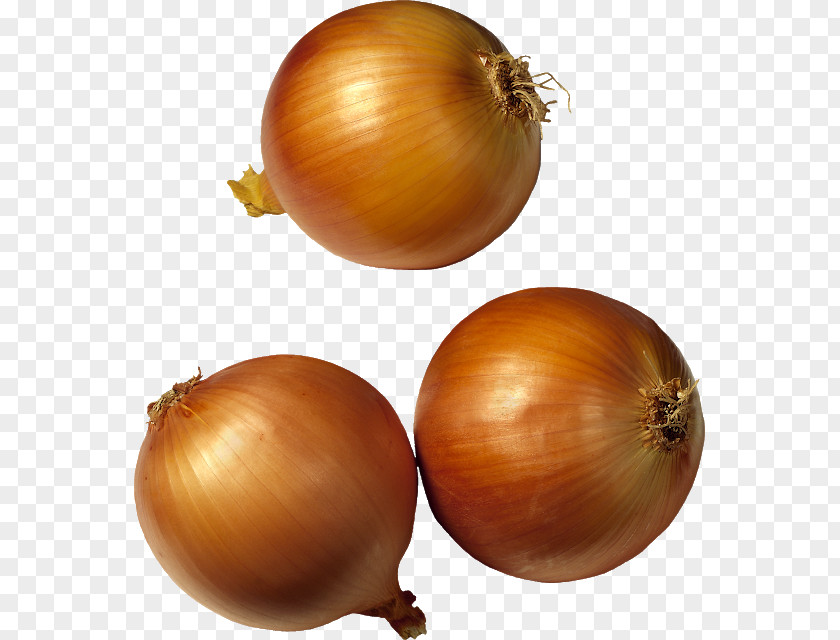 Vegetable Potato Onion Red Clip Art PNG