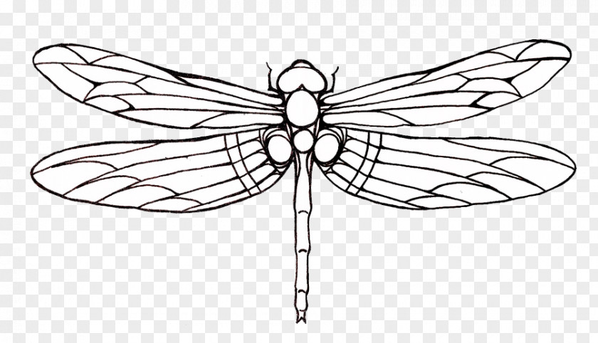 Dragonfly Tattoos Transparent Images Tattoo Drawing Clip Art PNG