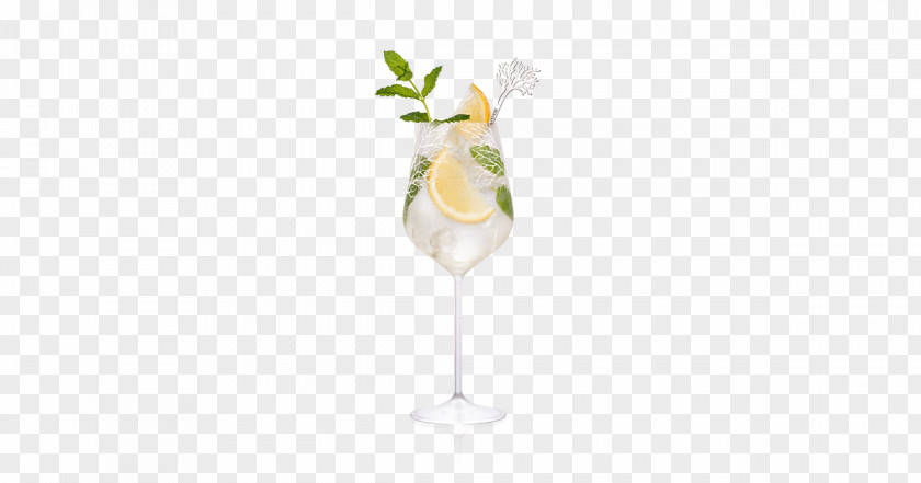 Glass Cocktail Garnish Champagne PNG