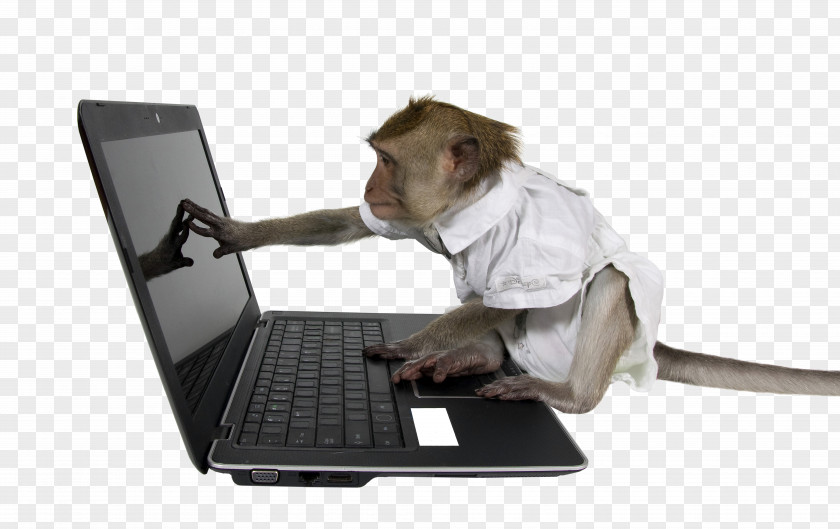 Orangutan Laptop Monkey Testing Computer Infinite Theorem PNG