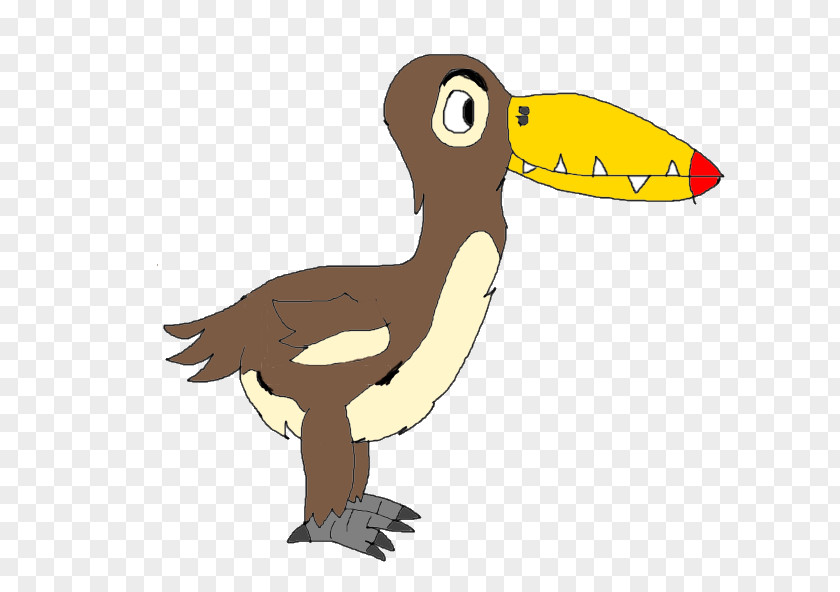 Duck Clip Art Beak Fauna Feather PNG
