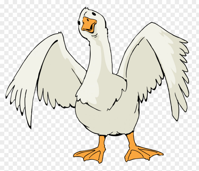Goose Cliparts Canada Bird Clip Art PNG