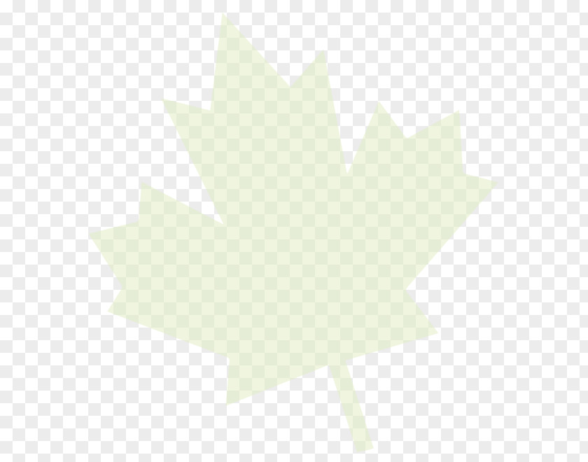 Line Maple Leaf Angle PNG