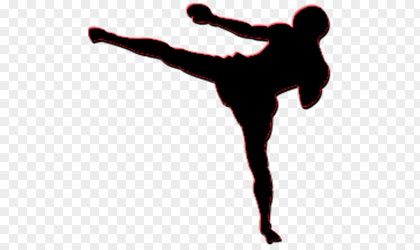 Mixed Martial Arts Poster Art Kickboxing Kickboxer PNG