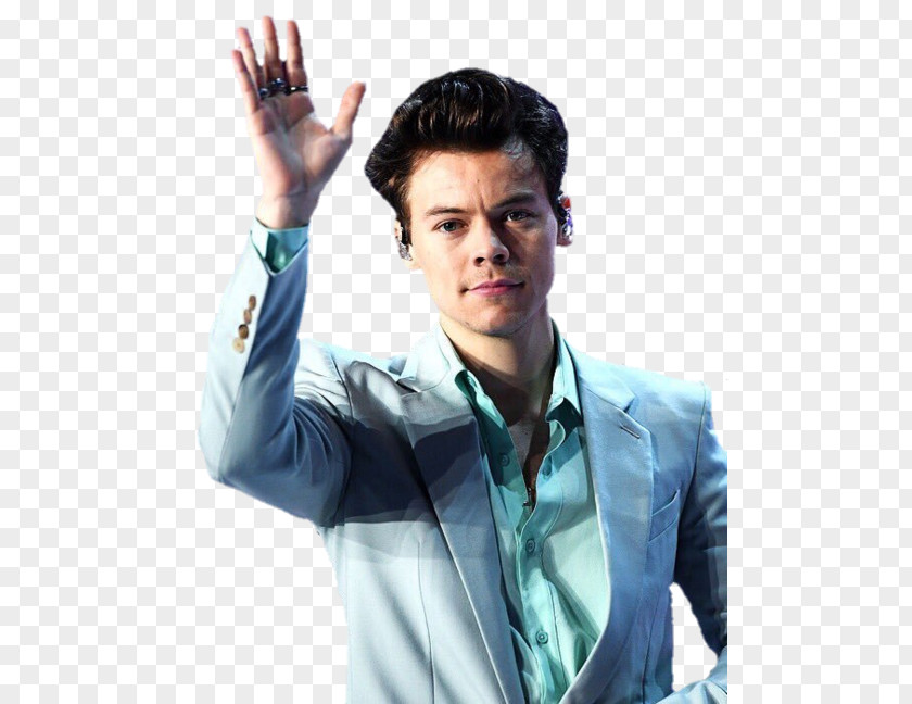 One Direction Harry Styles: Live On Tour Victoria's Secret Fashion Show 2017 PNG