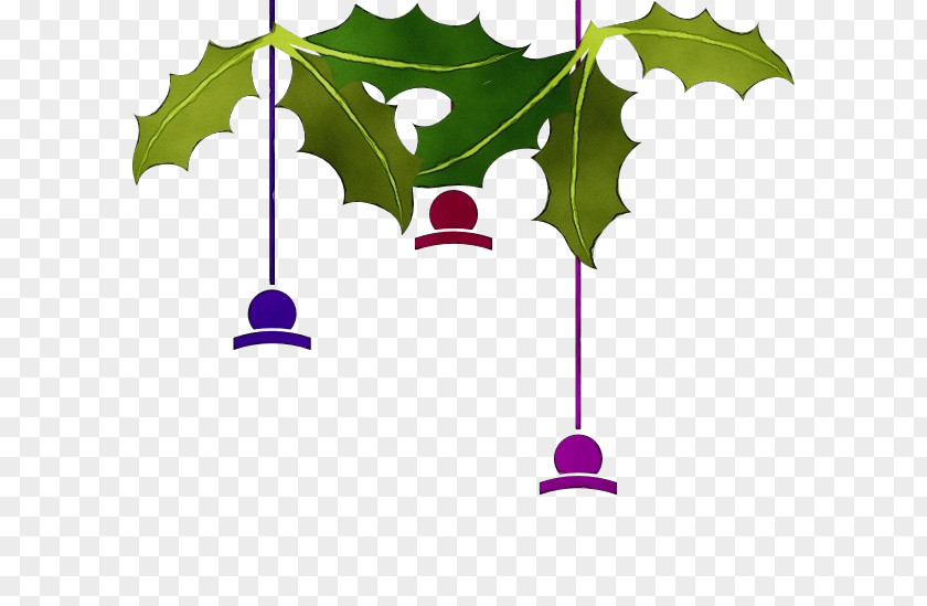 Plane Plant Holly PNG