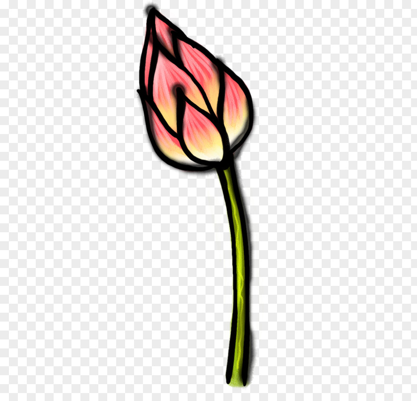 Red Unopened Lotus Clip Art PNG