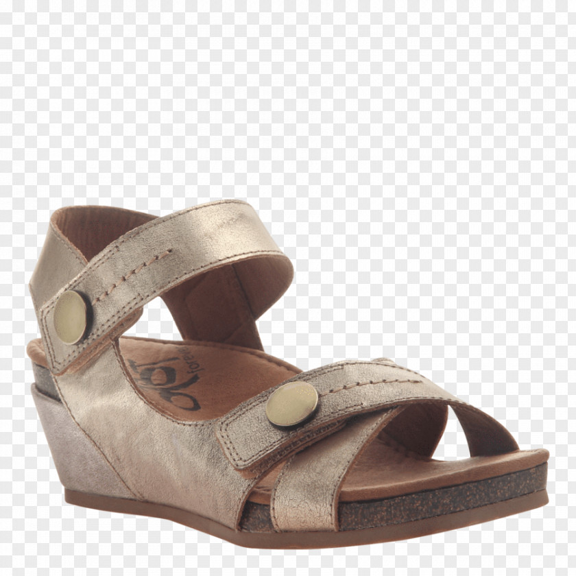 Sandal Wedge Shoe Espadrille Suede PNG