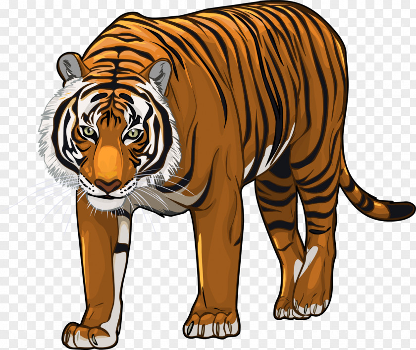 Tiger Bengal Siberian Felidae Cat Lion PNG