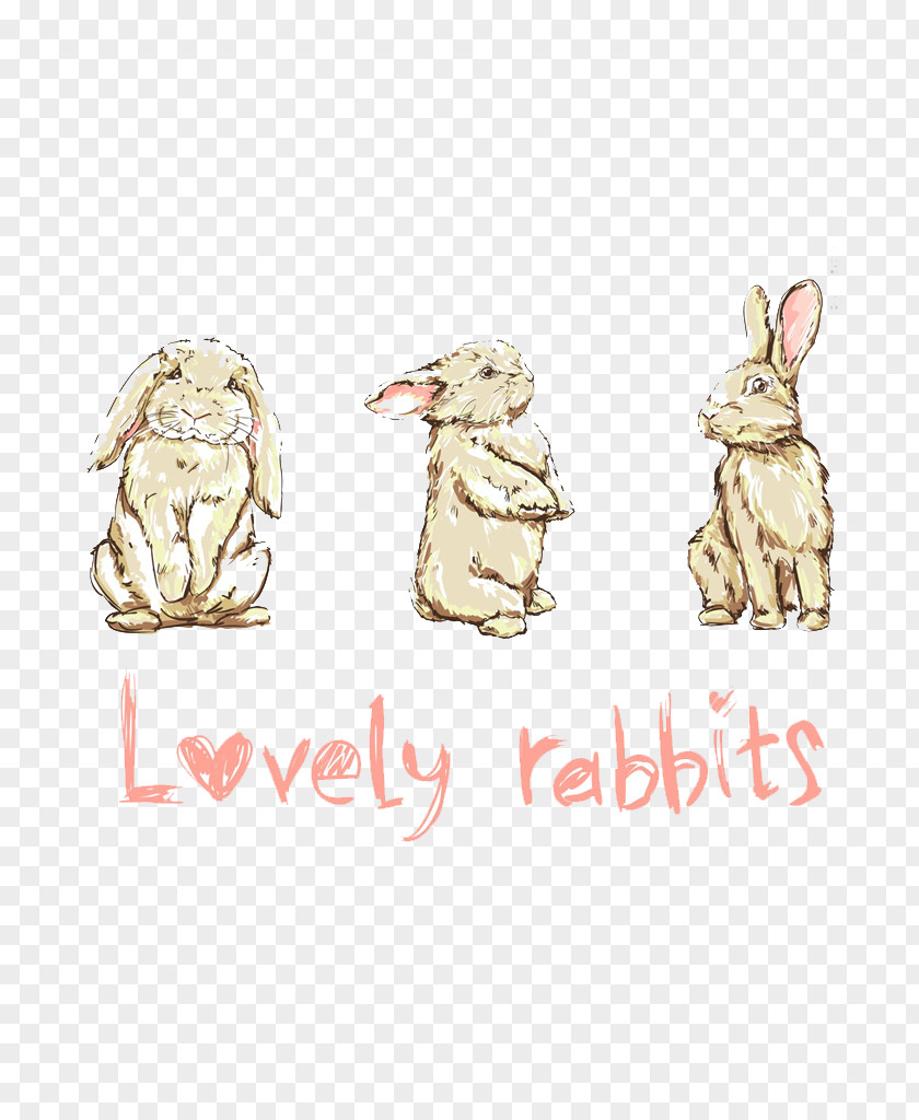 Watercolor Rabbit Drawing Cartoon Illustration PNG