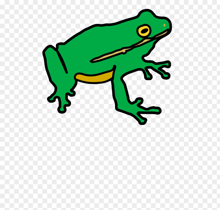 Amazon Frog Clip Art The Tree Amphibians PNG