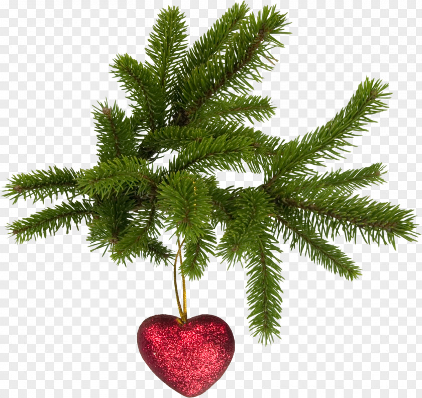 Kiss Christmas Tree Decoration Ornament PNG