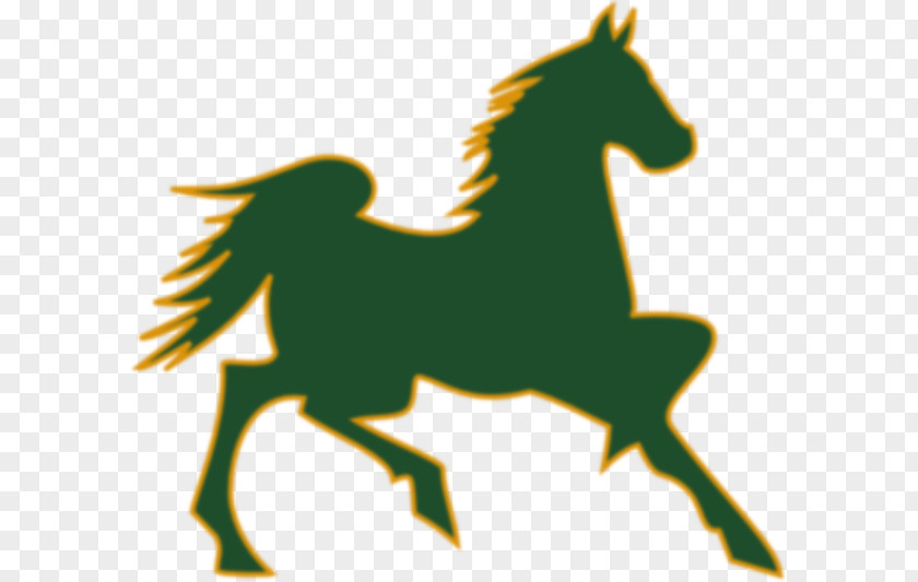 Mustang Mascot Cliparts Foal Pony Mare Clip Art PNG