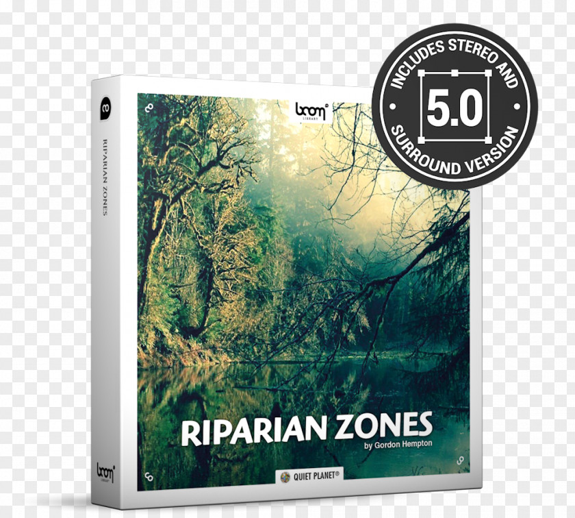 Riparian Zone Sound Effect Thunder Special Effects Crickets At Night PNG