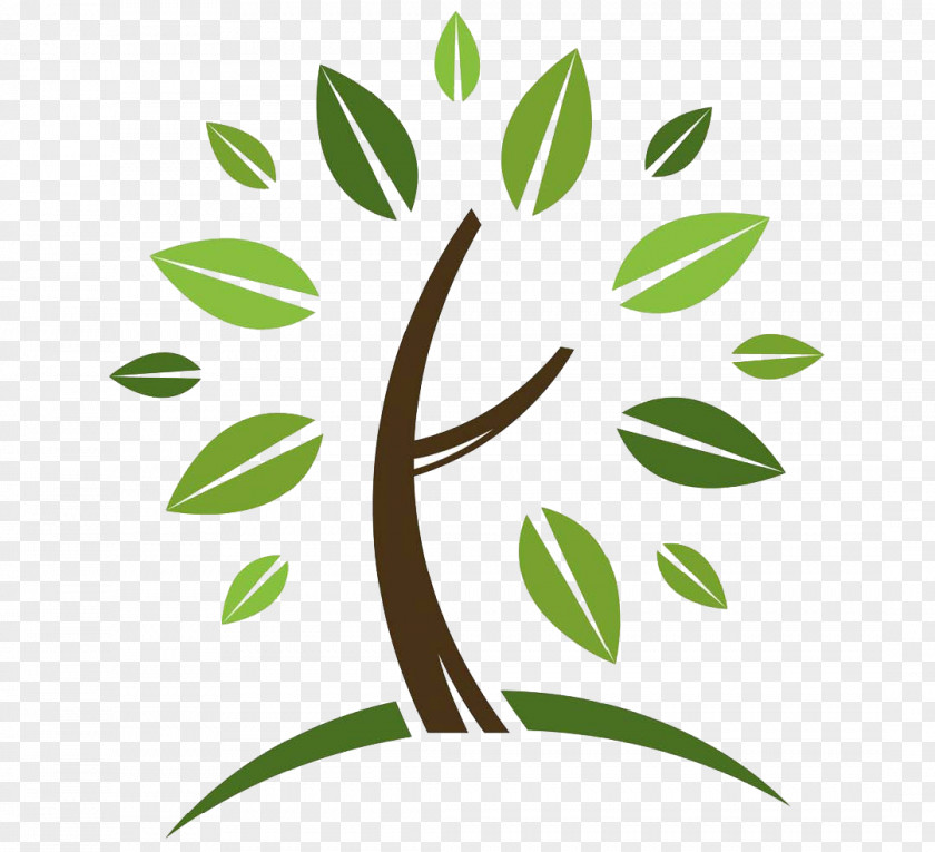 Tiff Tree Planting Arborist Logo Spectrum One PNG