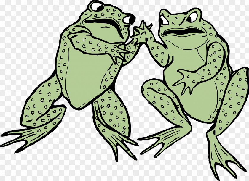 Amphibian Frog Toad Clip Art PNG