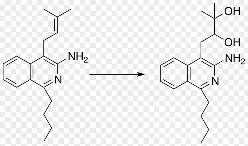Carboxylic Acid Chemistry Sistema De Nomenclatura Fusión Ester PNG