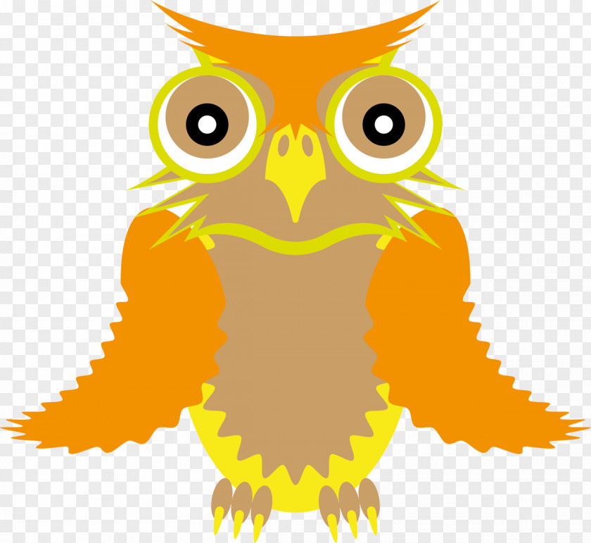 Owls Owl Bird Of Prey Beak Clip Art PNG