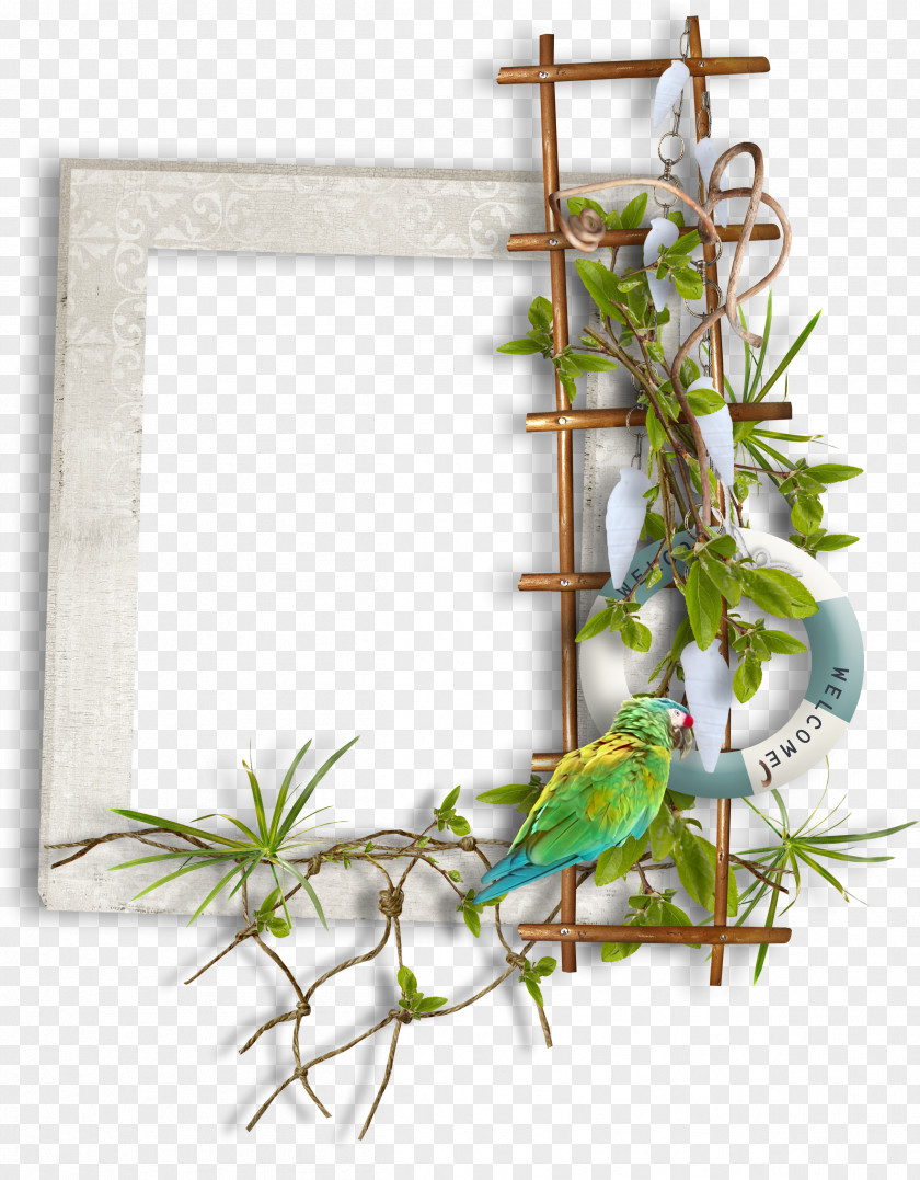 Parrot Ladder Block Clip Art PNG