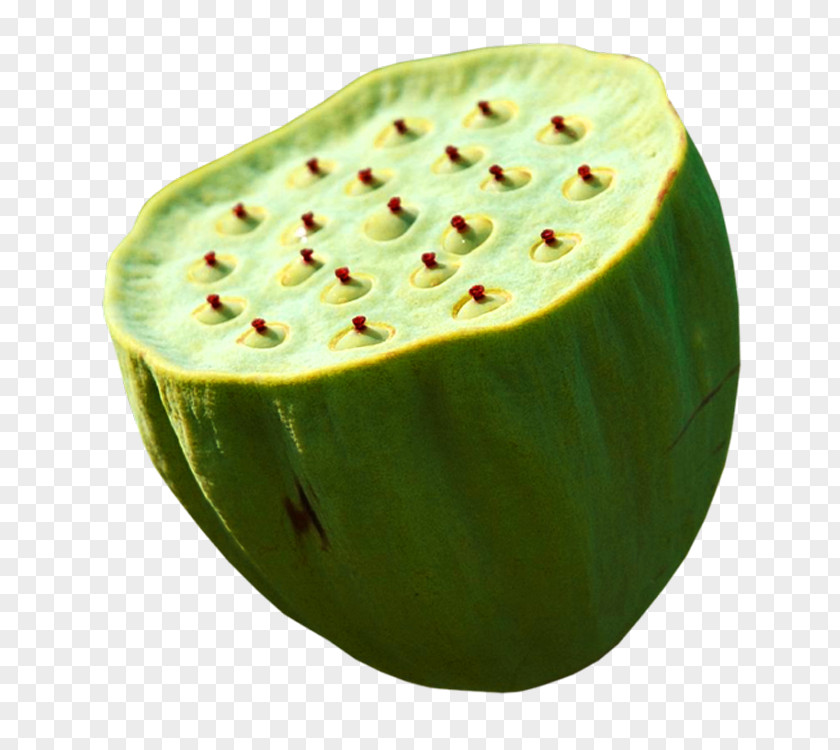 Shower Nelumbo Nucifera Lotus Seed Watermelon PNG