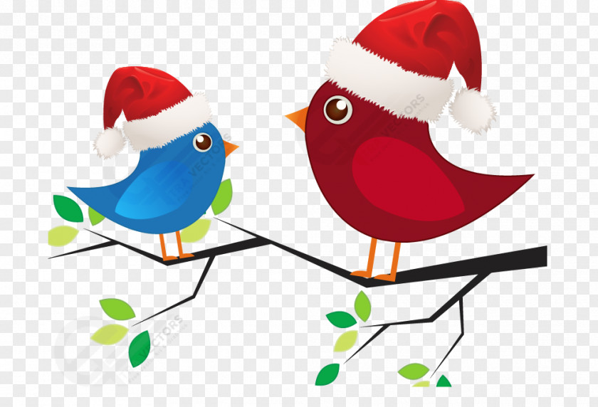 Cartoon Vector Birds With Christmas Hats Santa Claus Reindeer Love Clip Art PNG