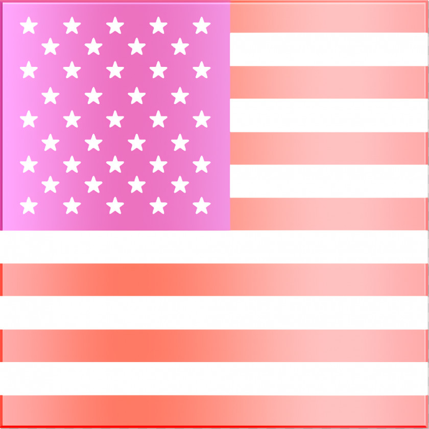 Flag Icon United States International Flags PNG