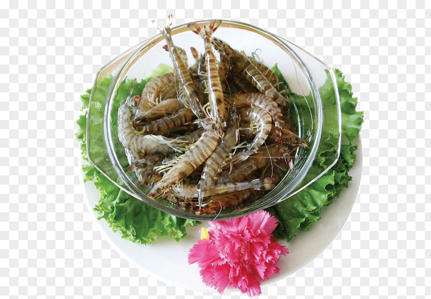 Mantis Shrimp Bowl Hot Pot Seafood Chinese Cuisine Hong Kong PNG