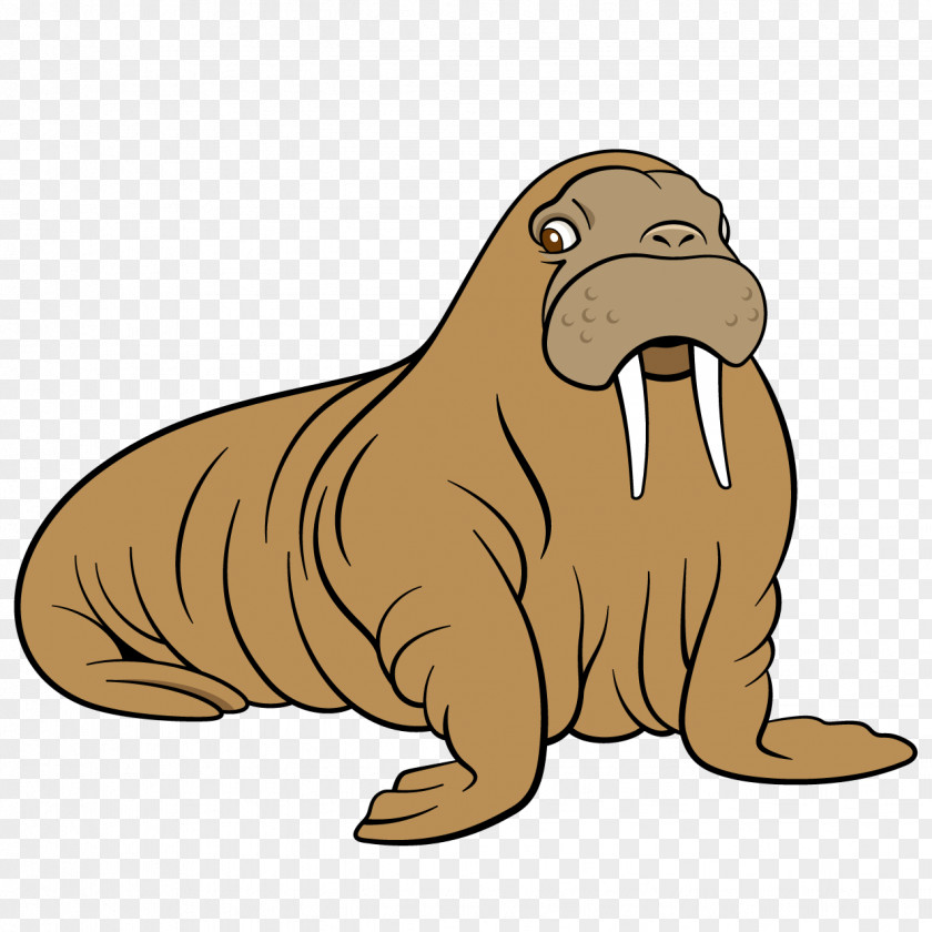 Cartoon Sea Lion Walrus Dog PNG