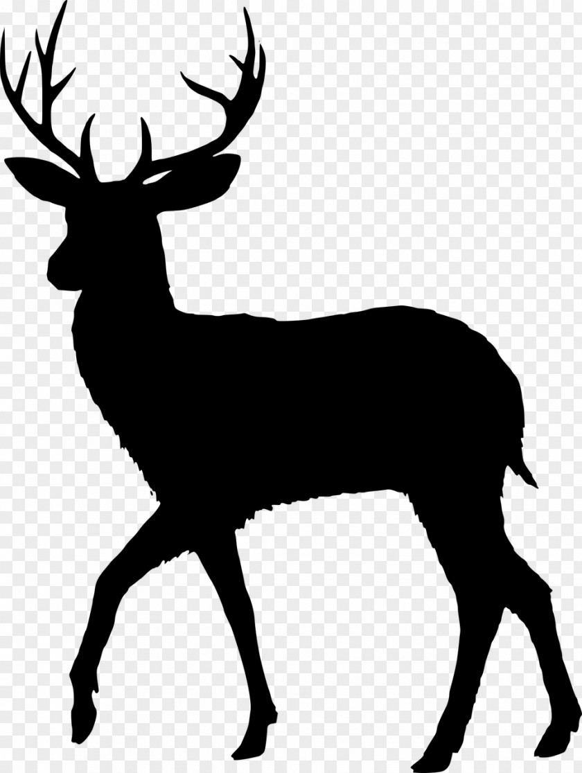 Fawn Silhouette Whitetailed Deer Fallow Vector Graphics Reindeer PNG