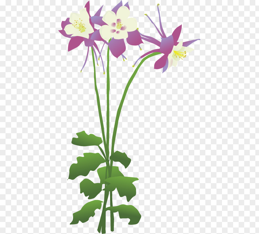 Landscape Contractor Columbine Cut Flowers Floral Design Clip Art PNG