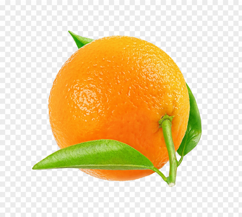 Tangerine Mandarin Orange Tangelo Rangpur Clementine PNG