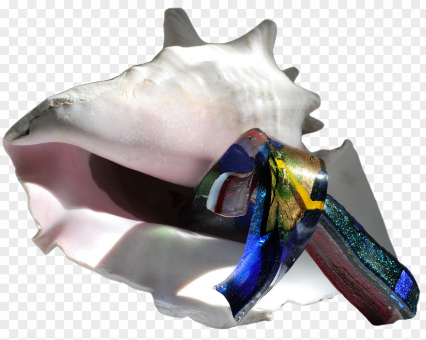Dolphin Plastic PNG