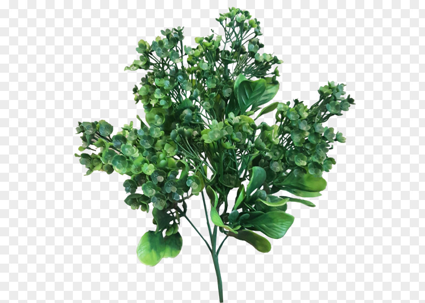 Green Faux Berry Branch Leaf Shrub Plant Stem Swiss Cheese PNG