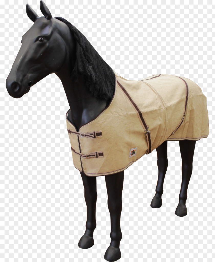 Jute Shetland Pony Horse Blanket Withers Halter PNG
