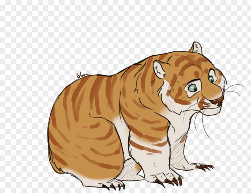 Tiger Lion Whiskers Cat PNG