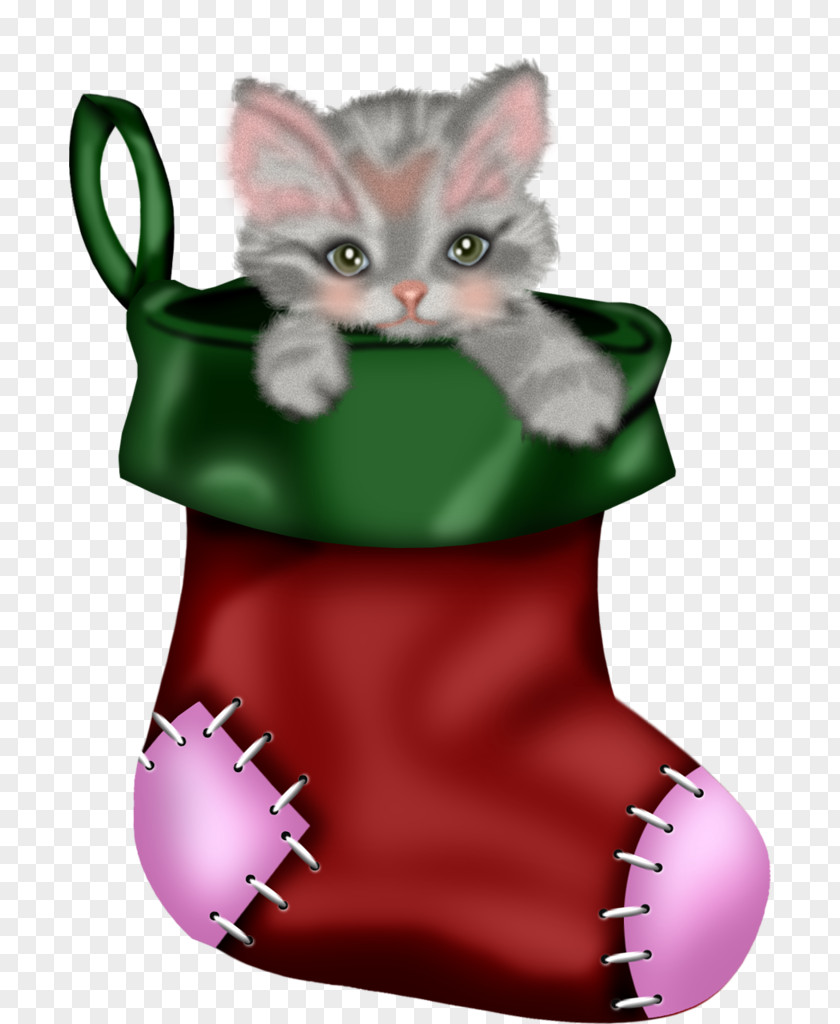 Whiskers Small To Mediumsized Cats Green Cat Kitten Pink Medium-sized PNG