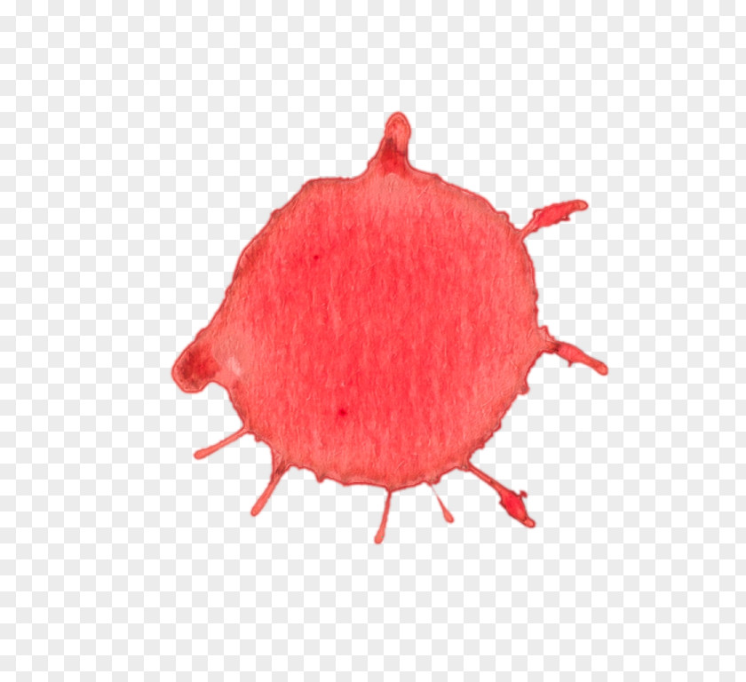 Blood Texture Organism PNG