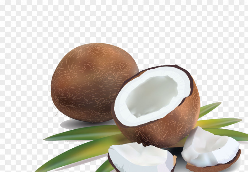 Coconut Water Milk Royalty-free PNG