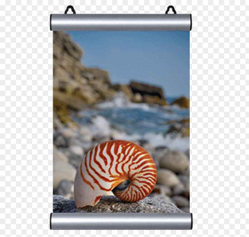Cosmetics Posters Snail Advertising Poster Spider Triangle PNG