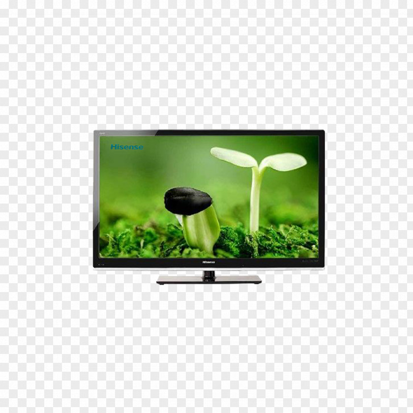 Hisense TV U0110u1ed3ng Thxe1p Province Mxf4i Tru01b0u1eddng Pollution Waste Research PNG