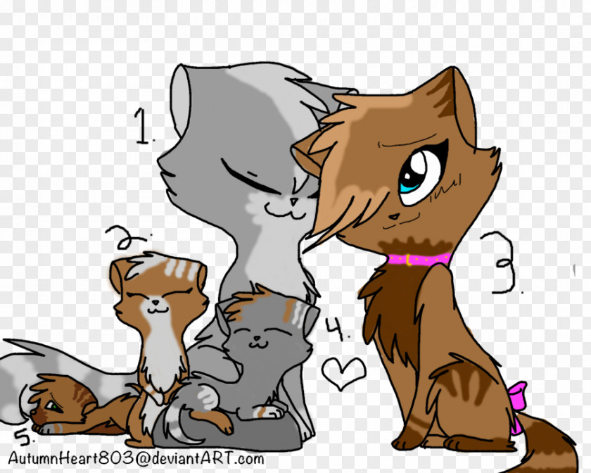 Kitten Whiskers Cat Felidae Warriors PNG