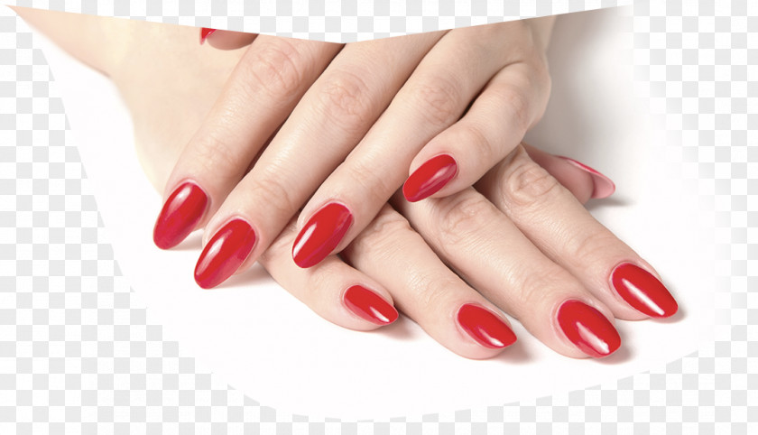 Pedicure Artificial Nails Manicure Nail Polish Beauty Parlour PNG