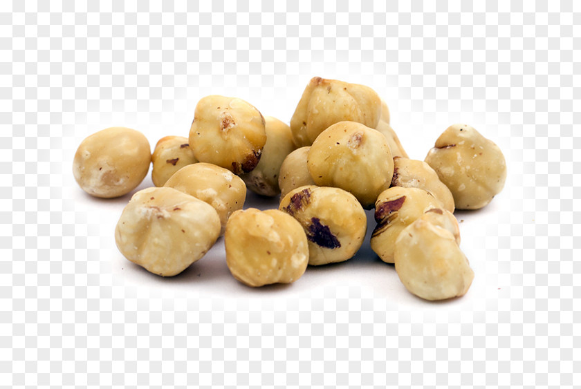 Pine Nuts Ingredient Hazelnut Dried Fruit PNG