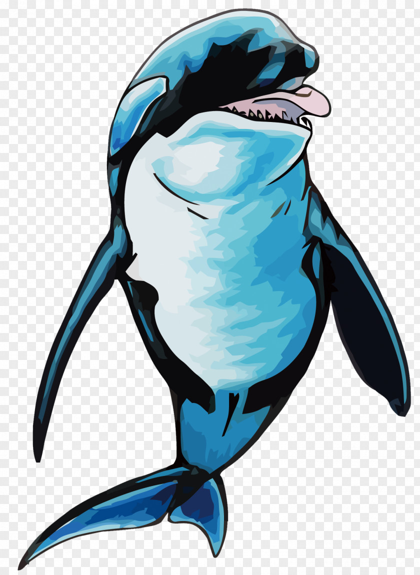 Vector Hand Painted Killer Whale Penguin Dolphin Porpoise PNG