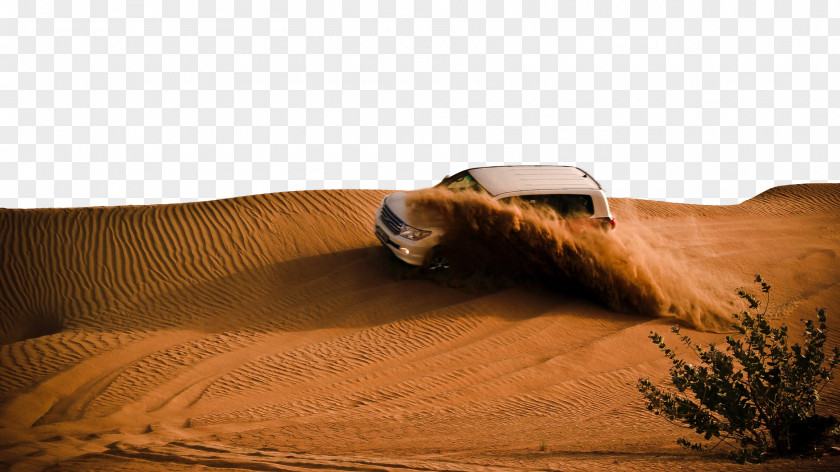 Wood Brown Desert Natural Environment Erg Aeolian Landform Sand PNG